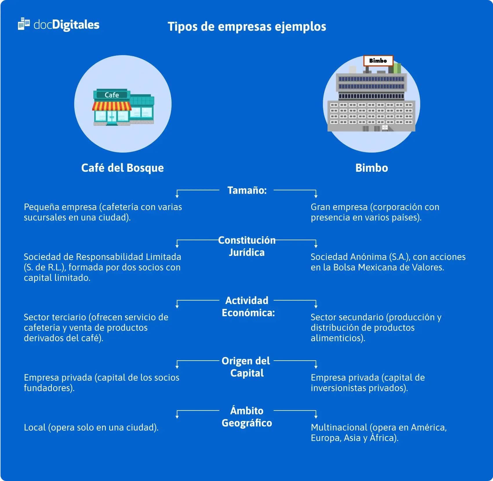 Infografía tipos de empresas
